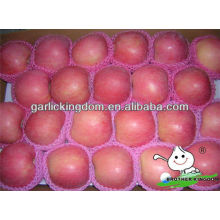 2013 New Crop Fuji Apple